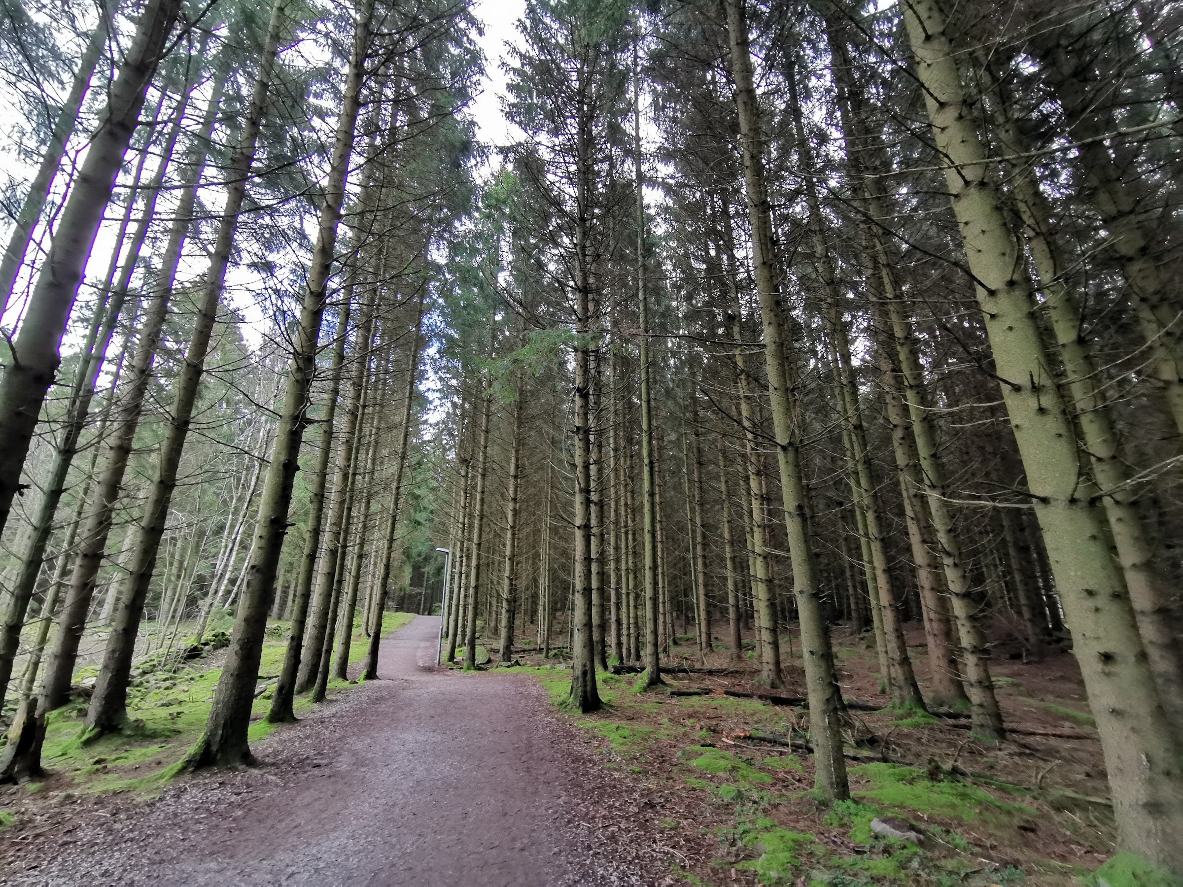 Skrylle naturreservat